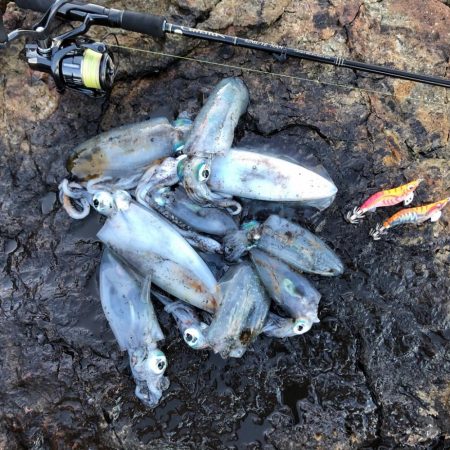 2020 佐渡ヶ島エギング 25回目